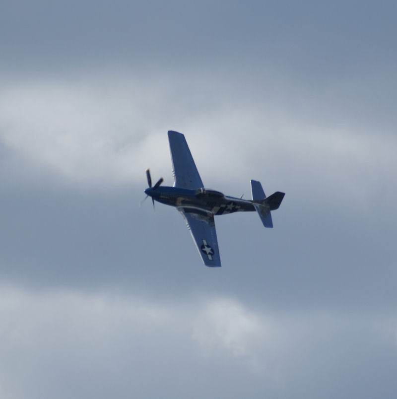  - Warbird