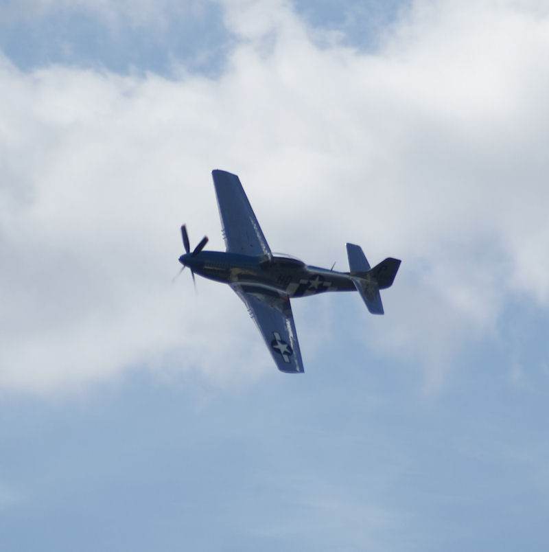  - Warbird