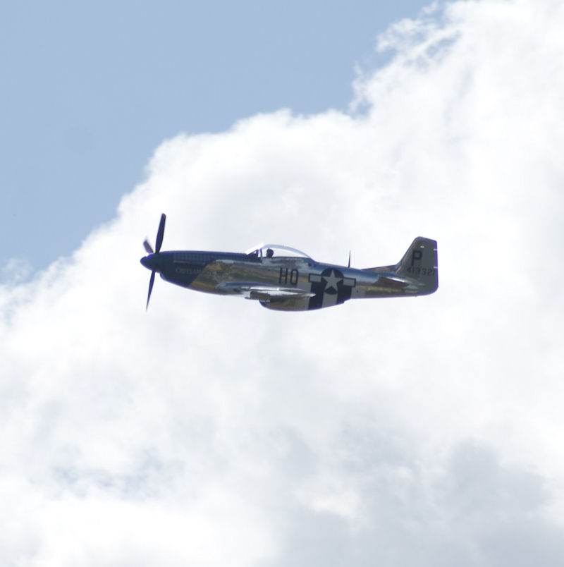  - Warbird
