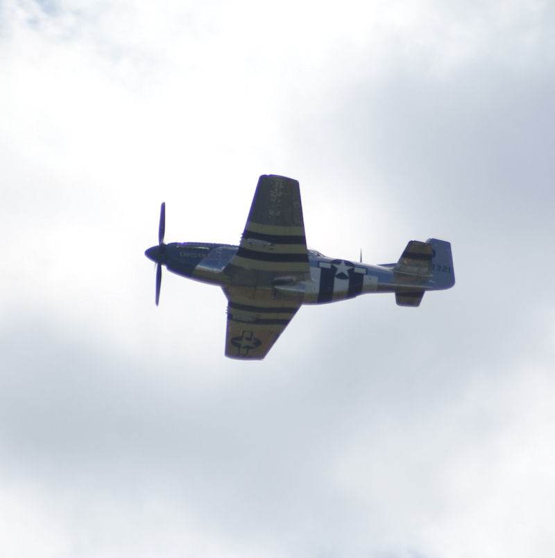  - Warbird
