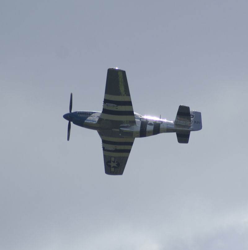  - Warbird