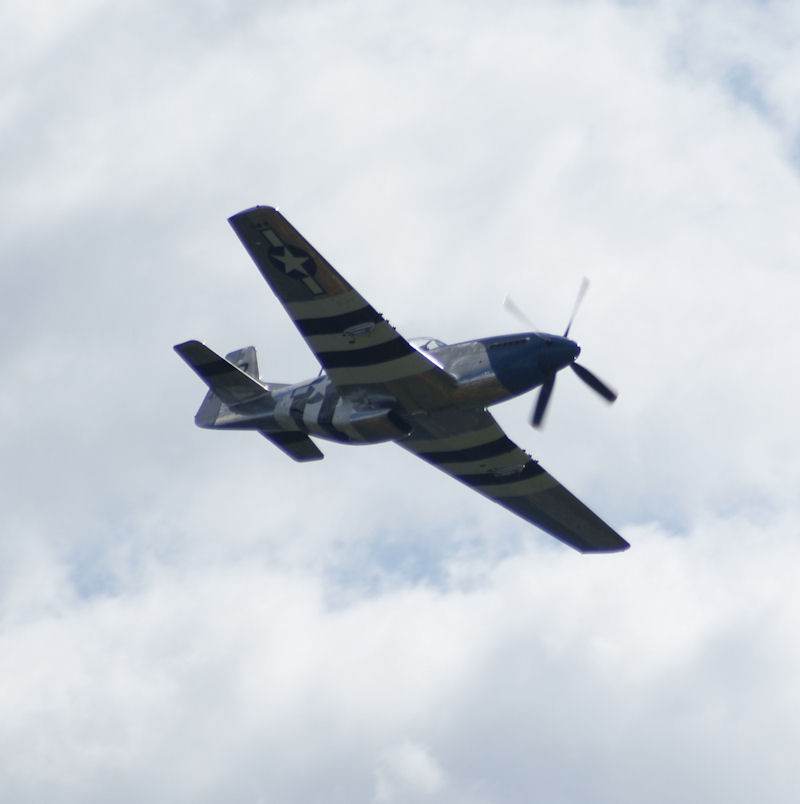  - Warbird