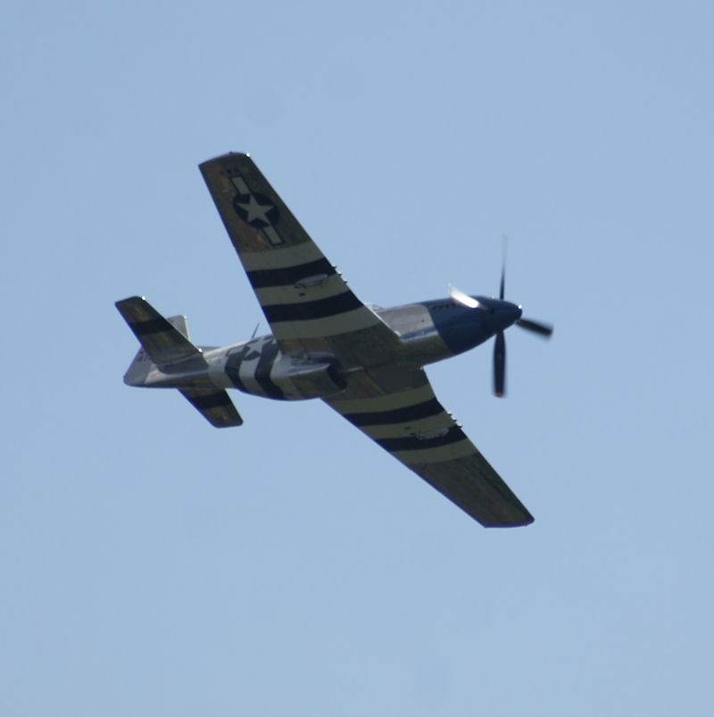  - Warbird