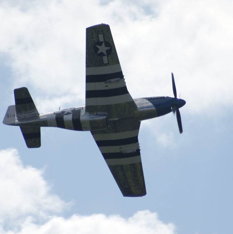  - Warbird