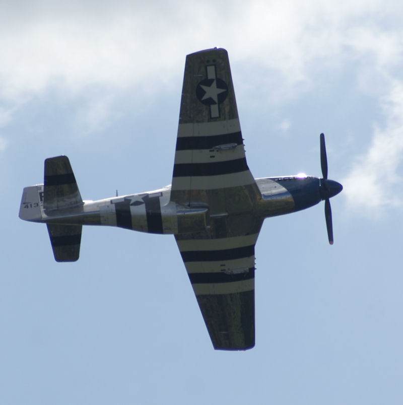  - Warbird