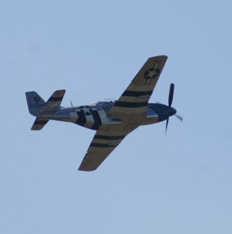  - Warbird