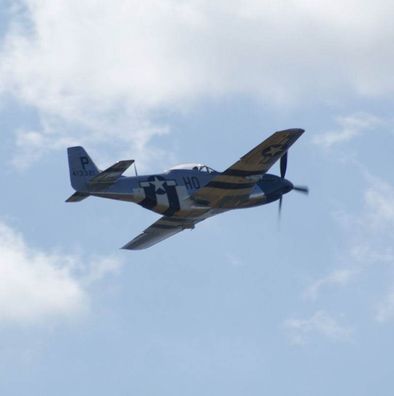  - Warbird