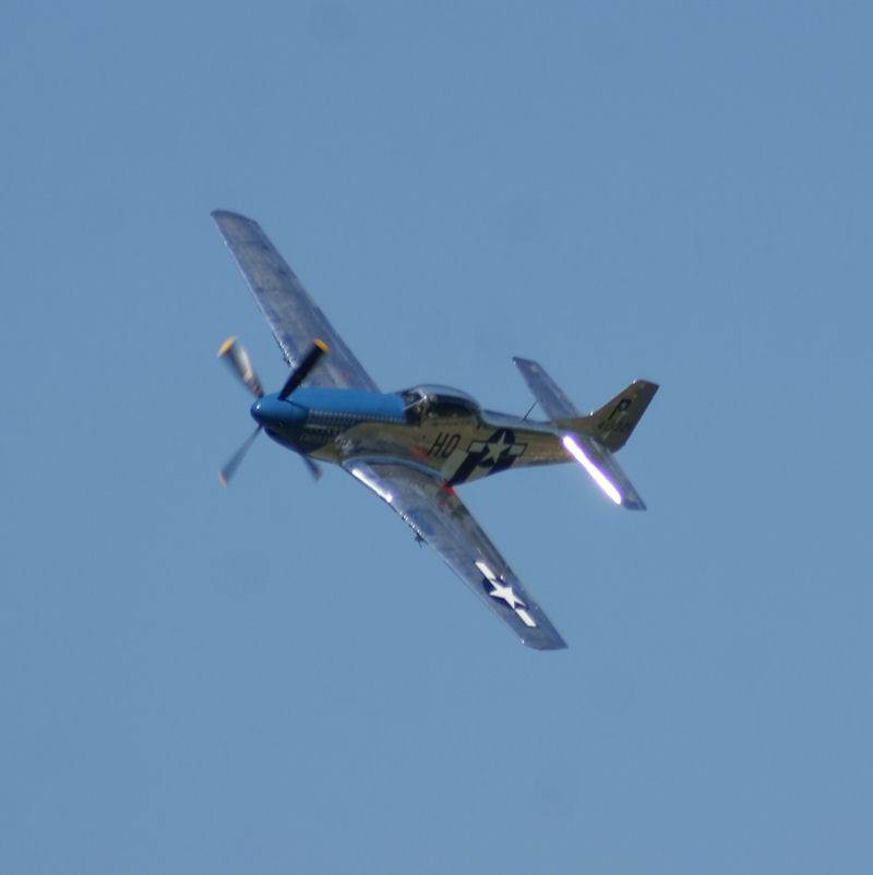  - Warbird