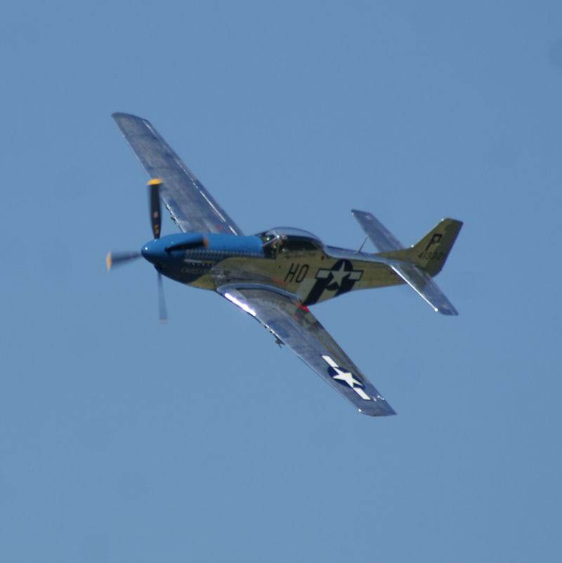  - Warbird