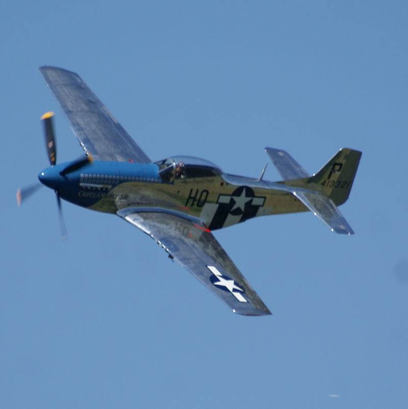  - Warbird