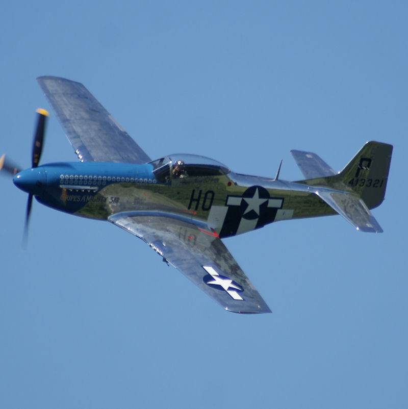  - Warbird