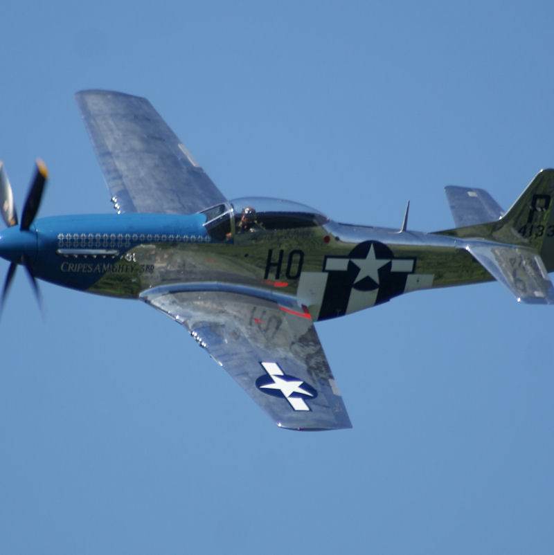  - Warbird