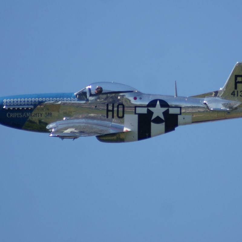  - Warbird