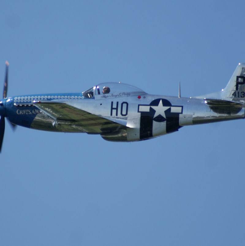  - Warbird