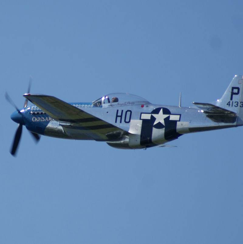  - Warbird