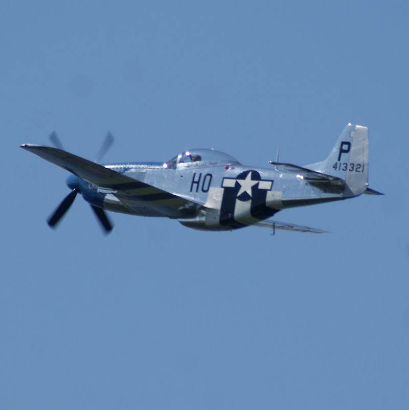  - Warbird