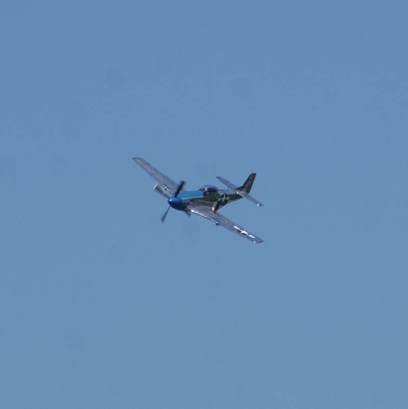  - Warbird