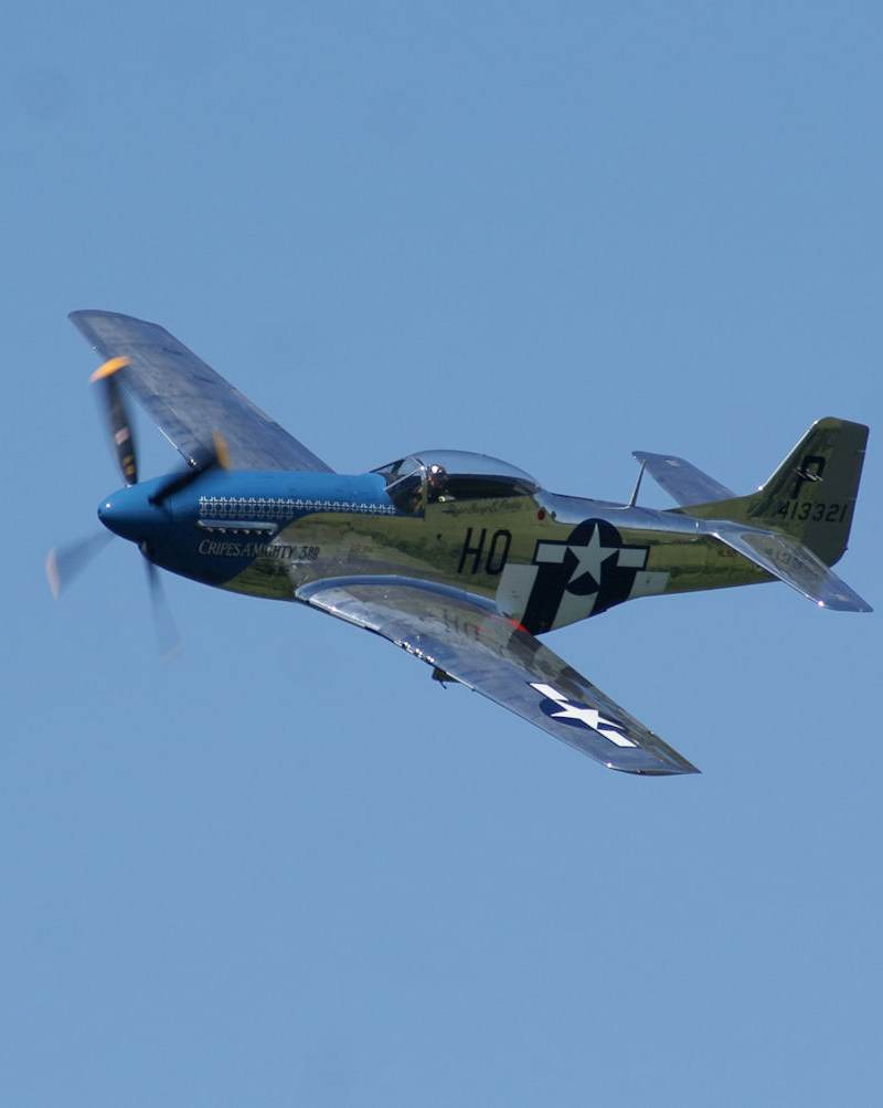  - Warbird