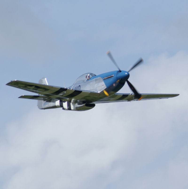  - Warbird