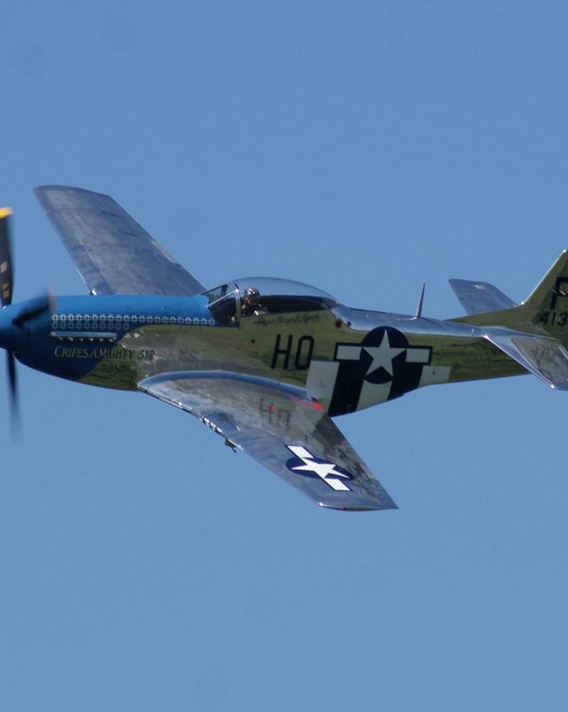  - Warbird