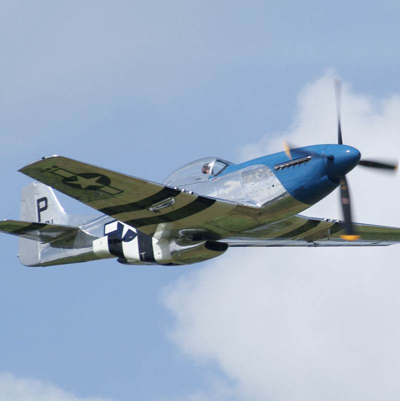  - Warbird