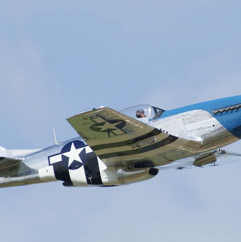  - Warbird