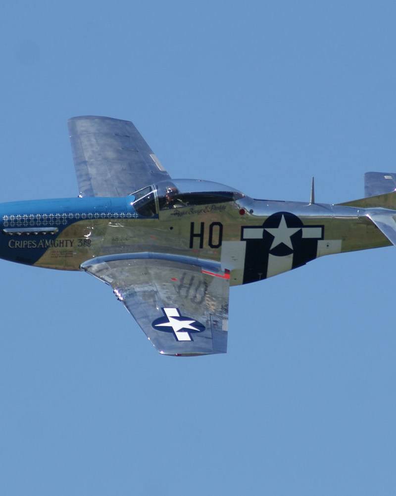  - Warbird