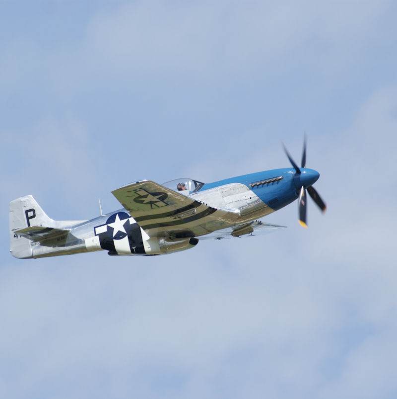  - Warbird