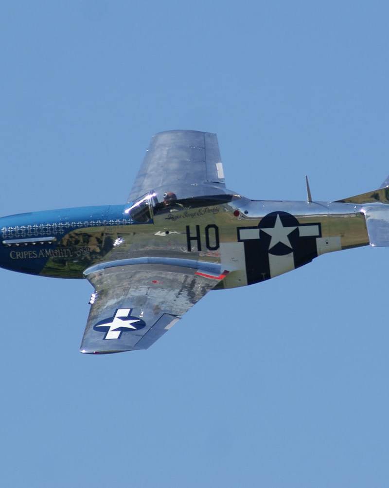  - Warbird
