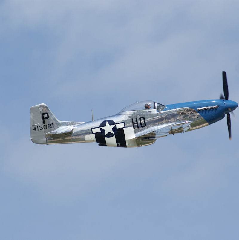 - Warbird
