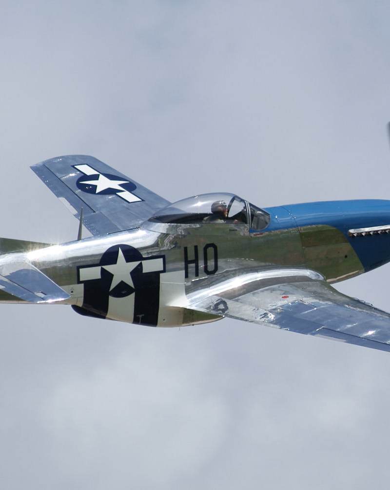  - Warbird
