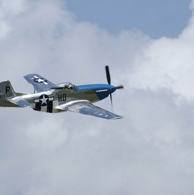  - Warbird