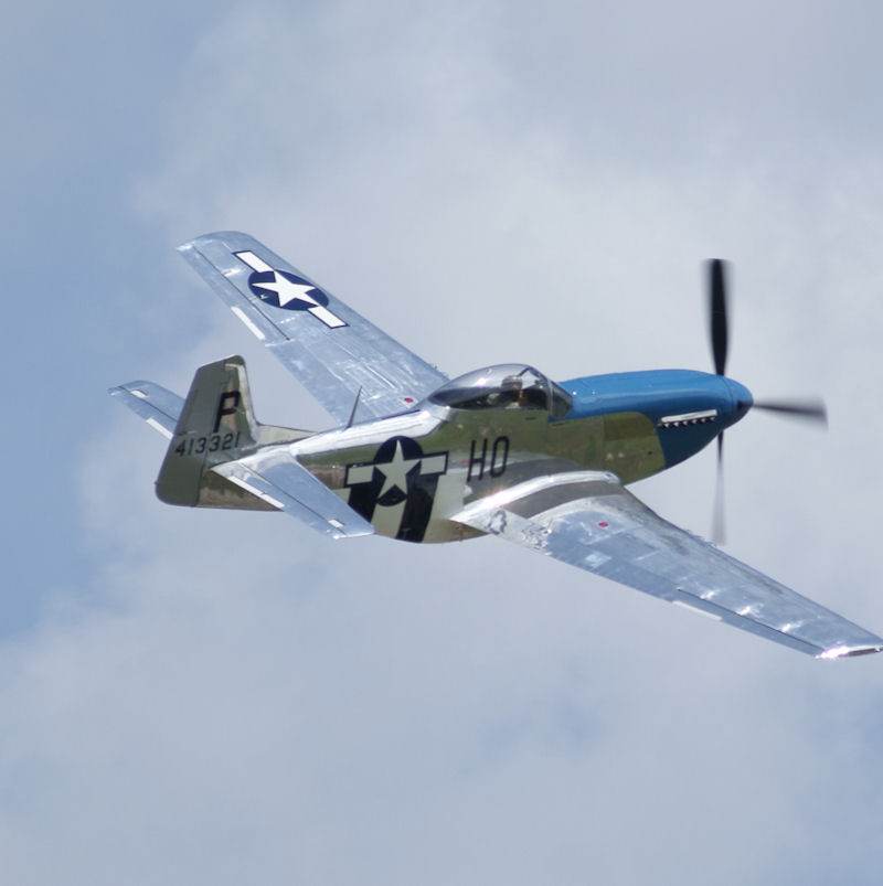  - Warbird