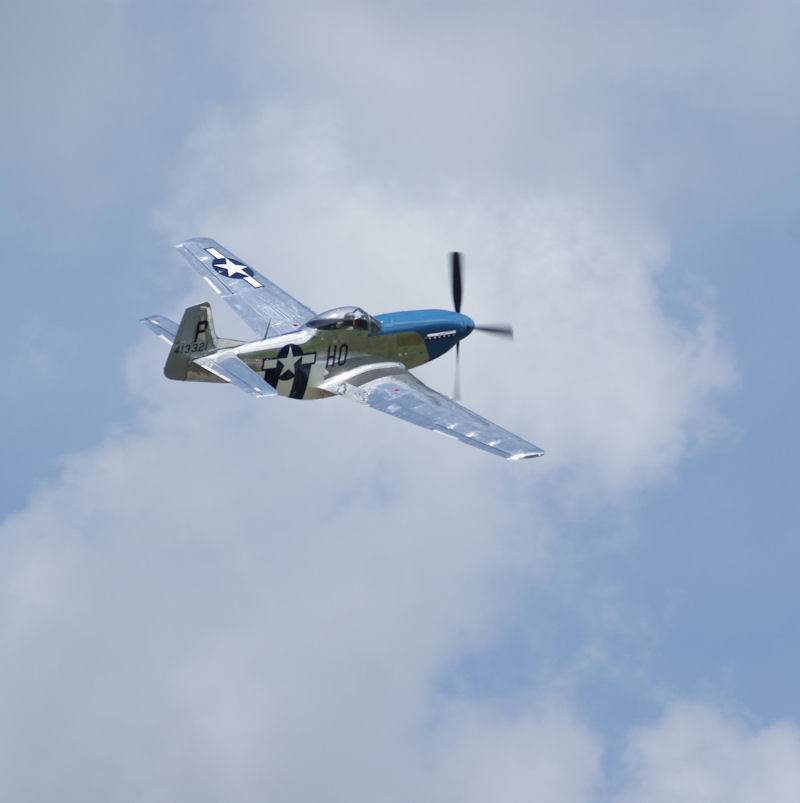  - Warbird