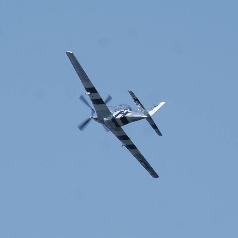  - Warbird