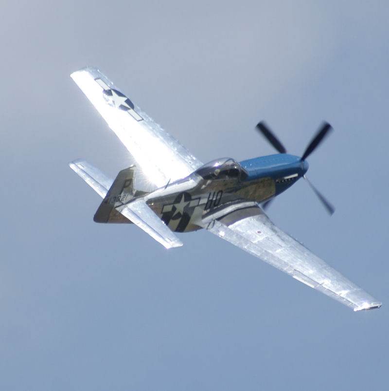  - Warbird