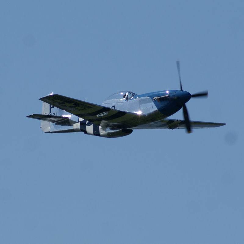  - Warbird