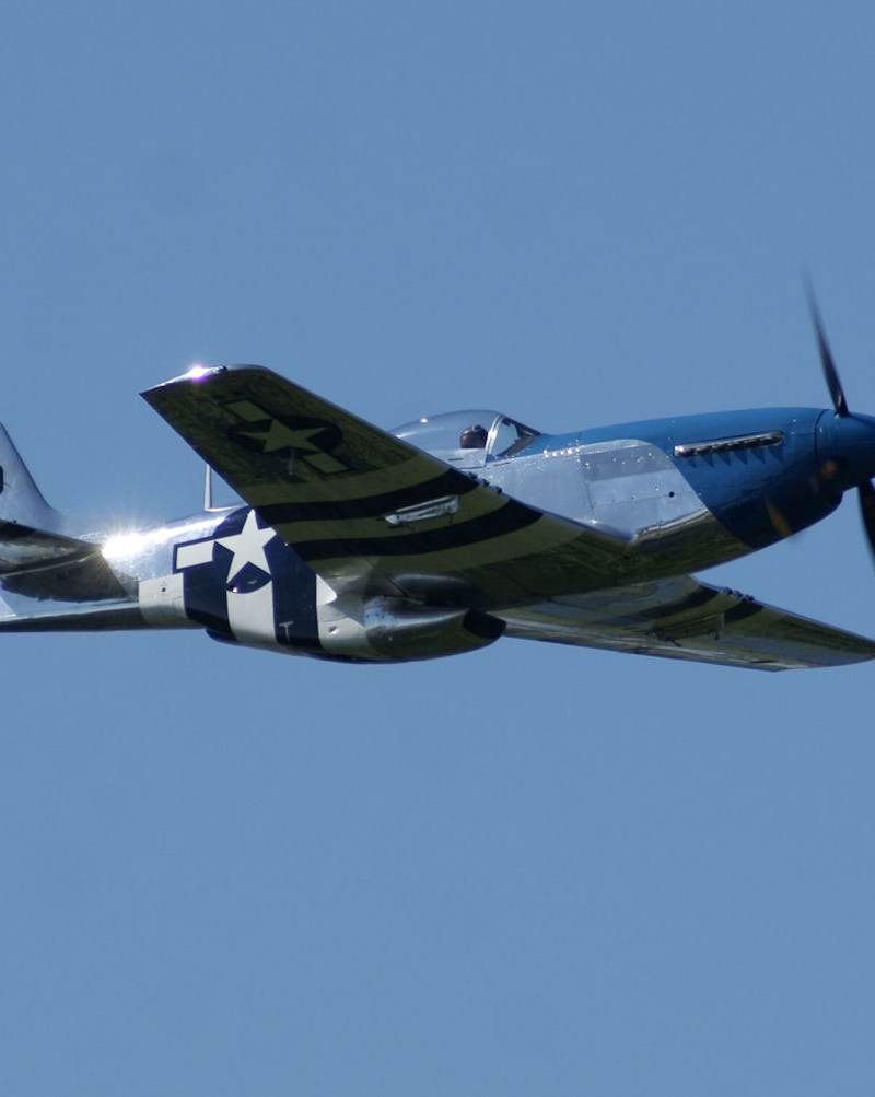  - Warbird