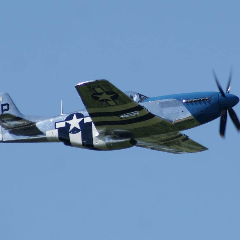  - Warbird
