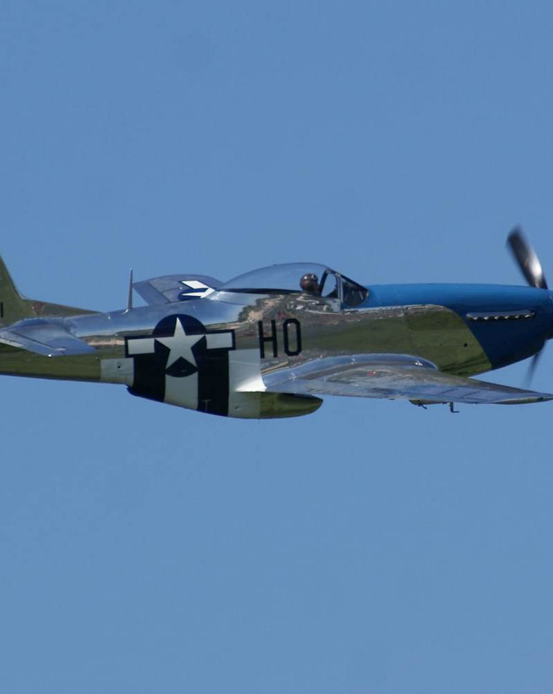  - Warbird