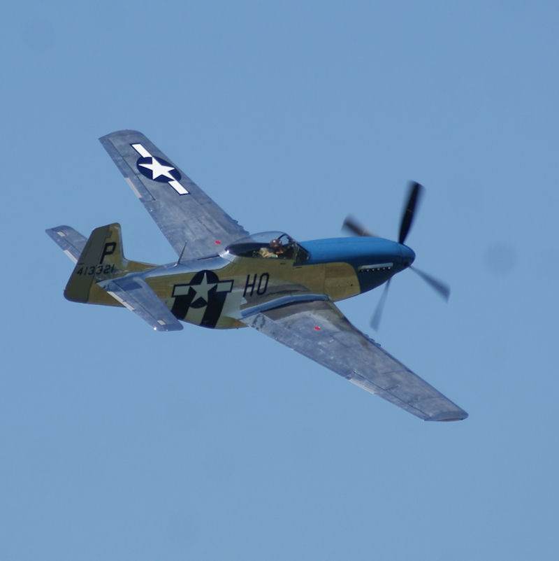  - Warbird