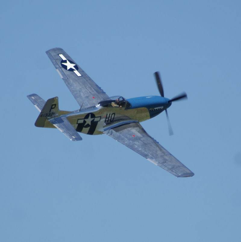  - Warbird