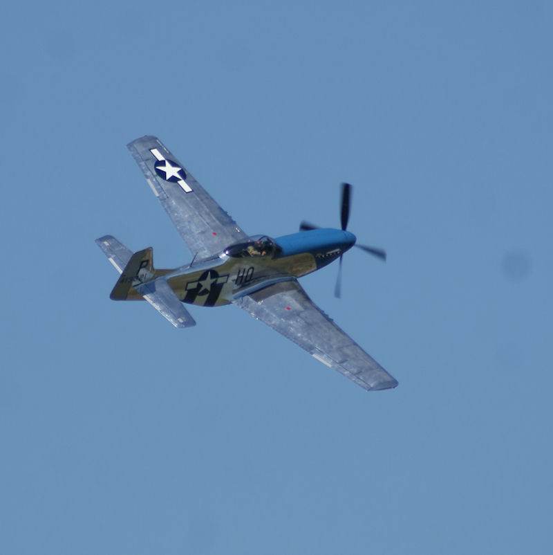  - Warbird