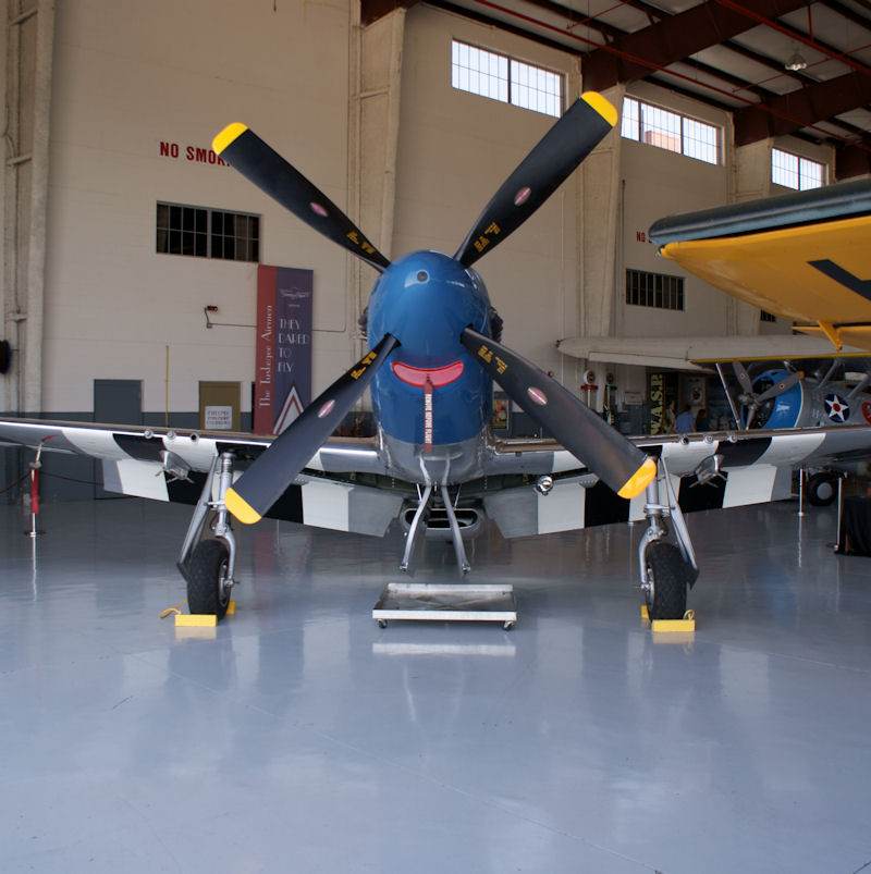  - Warbird