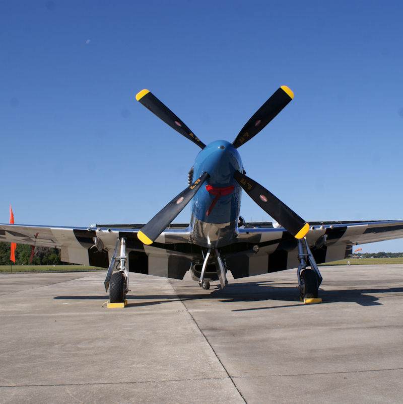  - Warbird