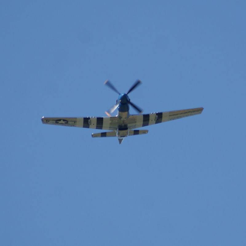  - Warbird