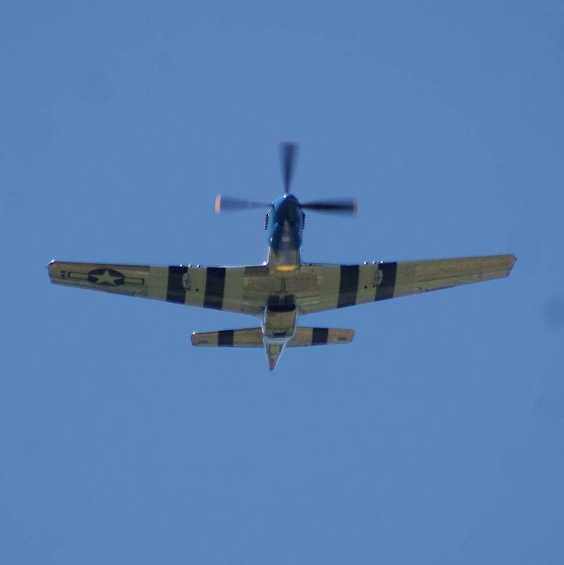  - Warbird