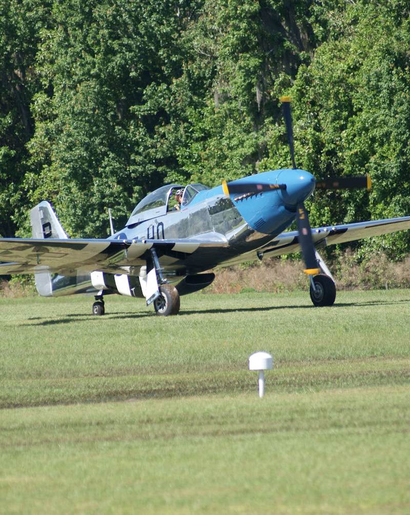  - Warbird