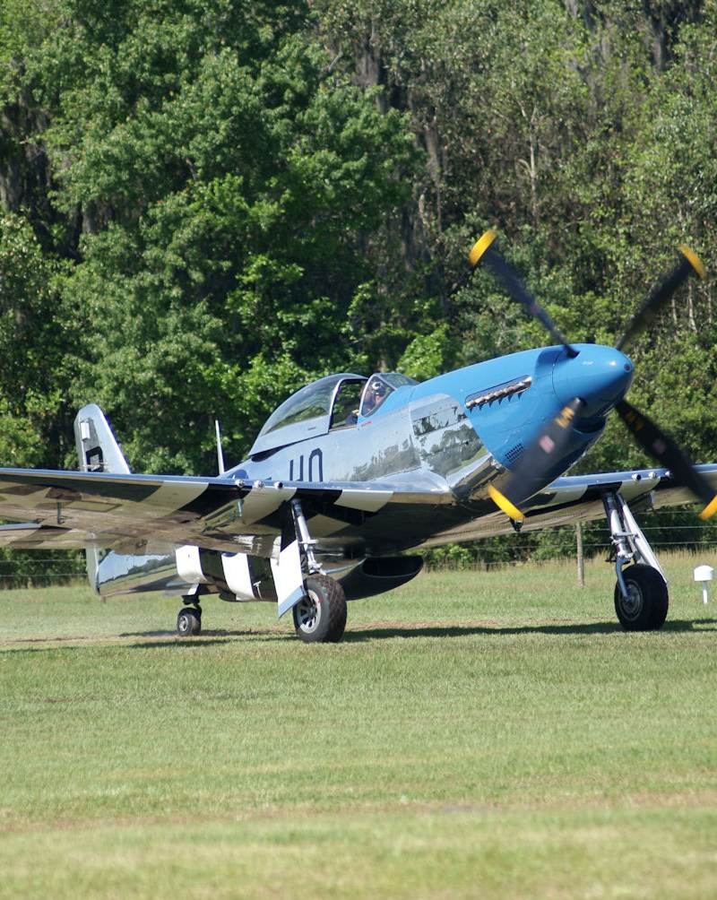  - Warbird