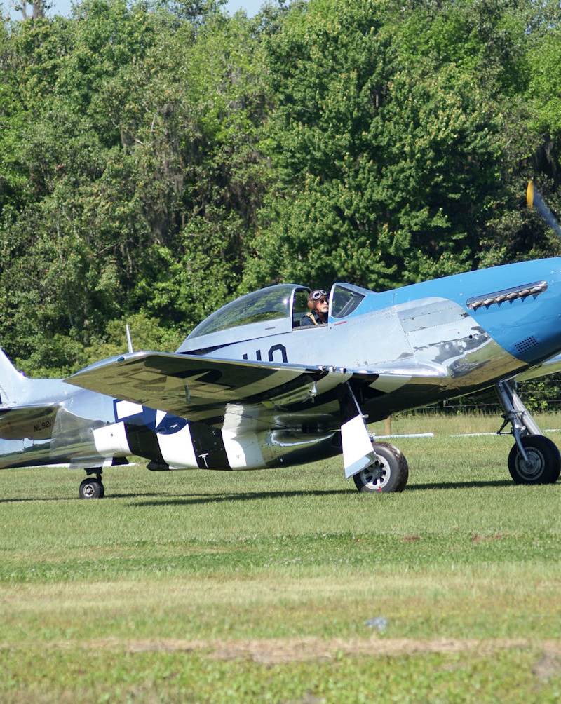  - Warbird